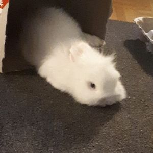 Meet your Posher, Patricia